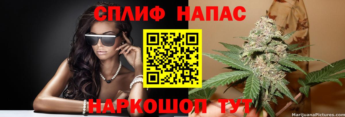Каннабис гибрид Сальск